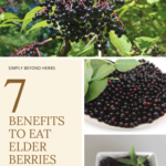 #herbalremedies, #herbaldiy,#herbalmedicine
