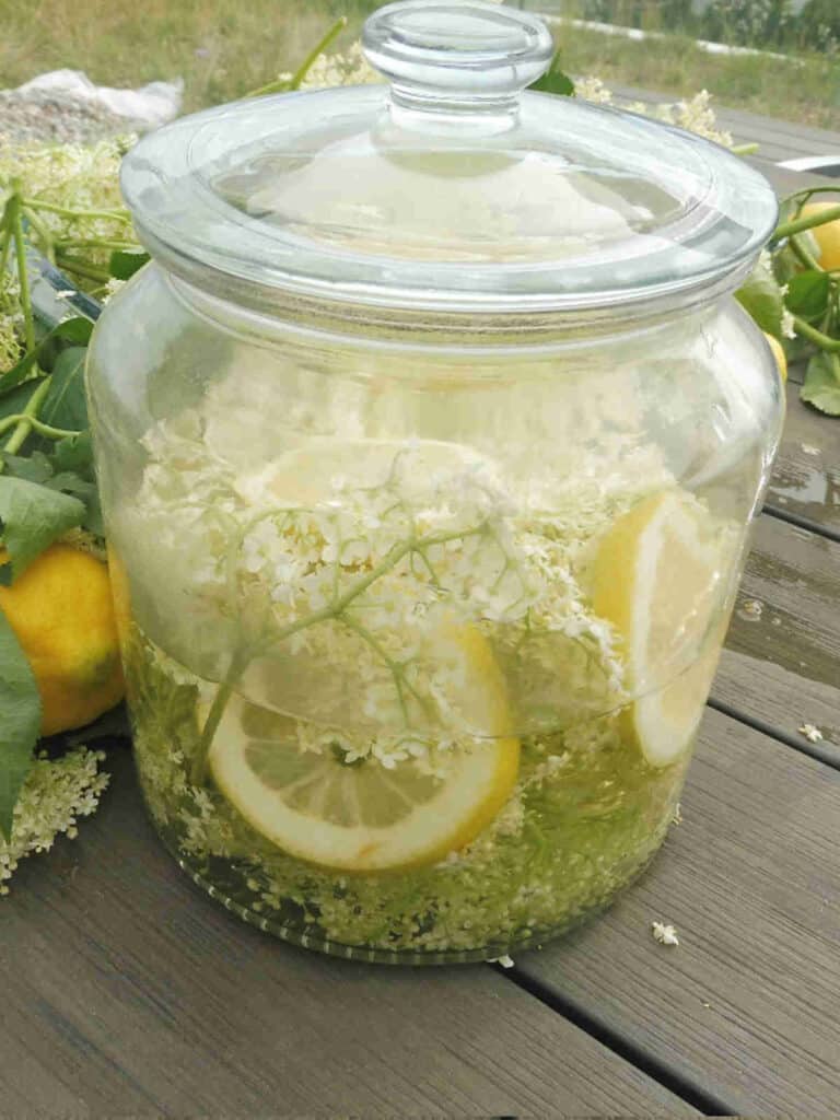 elderflower syrup