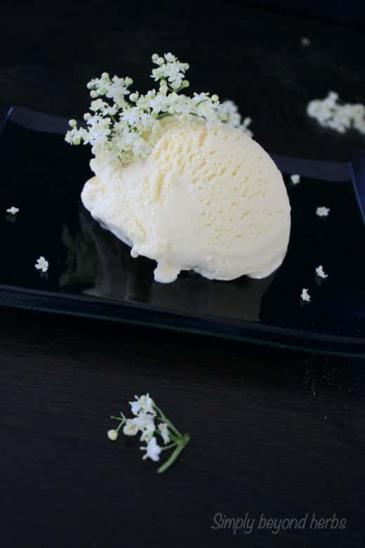 Elderflower ice cream
