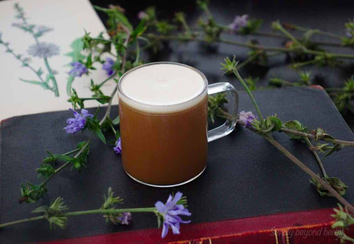 How to make chicory coffee from scratch SimplyBeyondHerbs