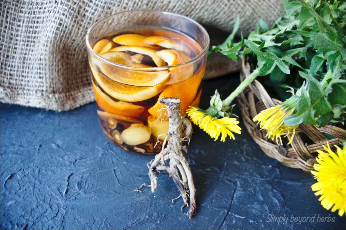 How to make Dandelion bitter SimplyBeyondHerbs