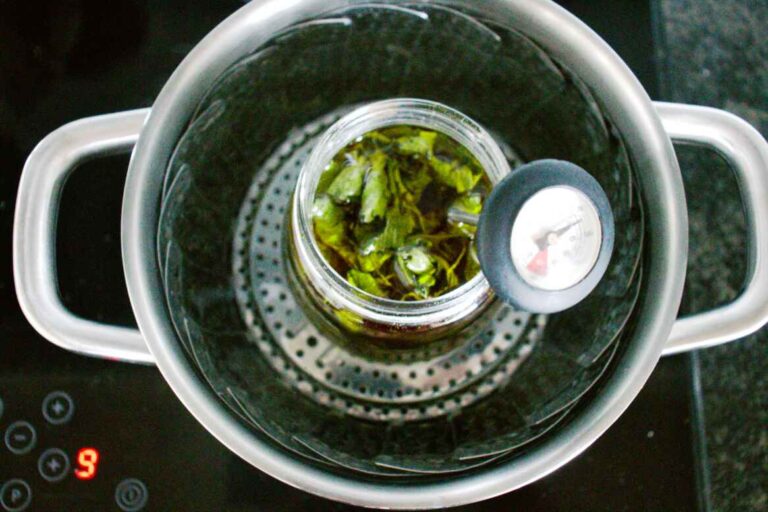 How to make Nettle oil + its uses for skin and hair SimplyBeyondHerbs