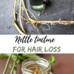 How to harvest nettle root