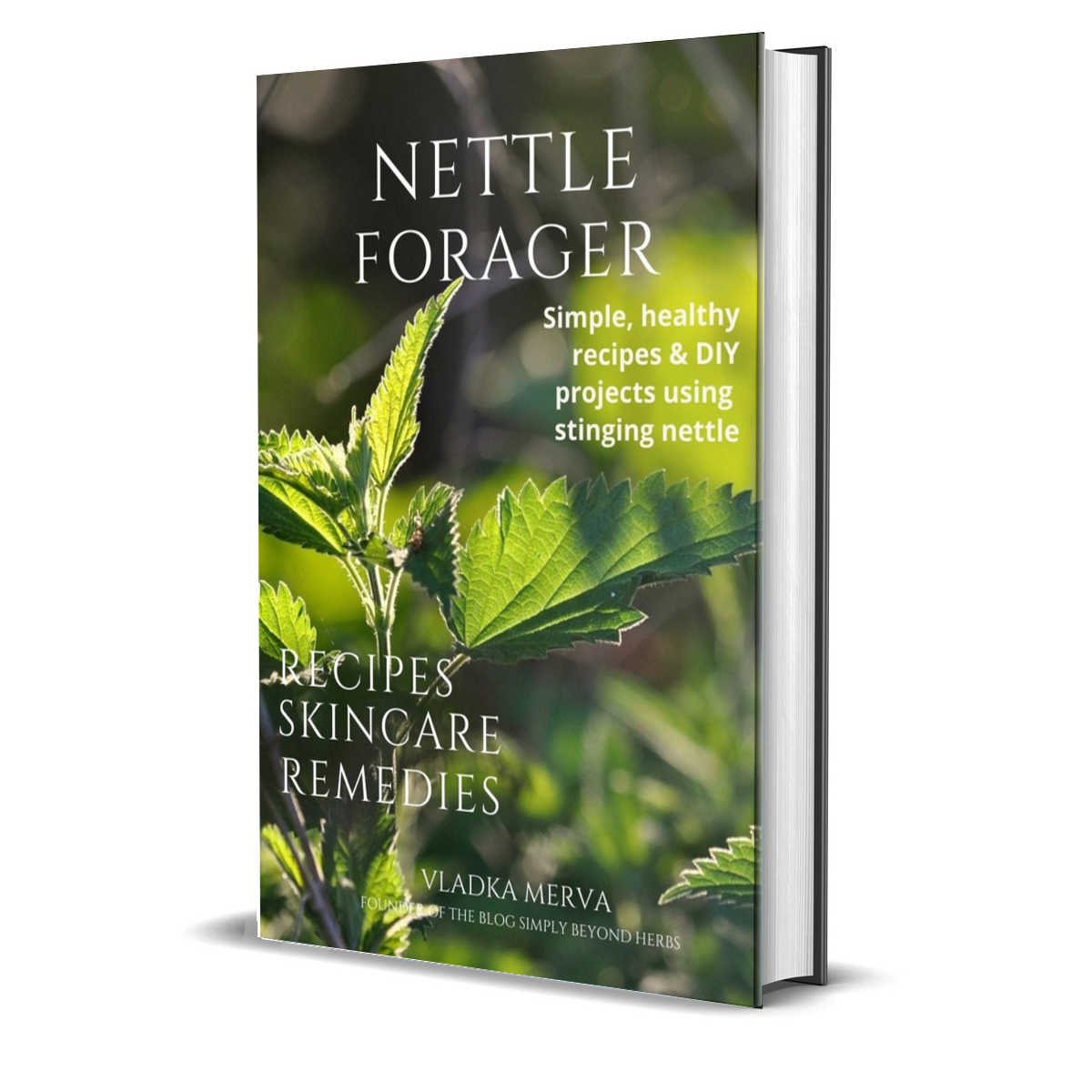 More recipes with nettle leaves, seeds and root