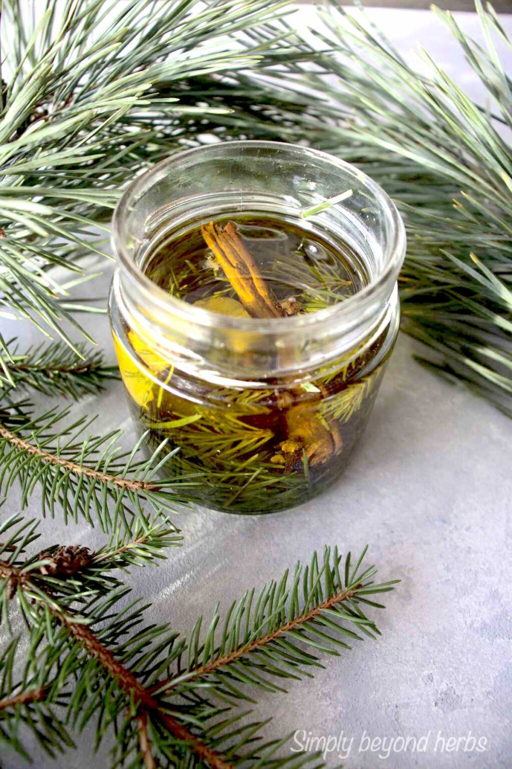 Pine needle oil for winter wellness SimplyBeyondHerbs