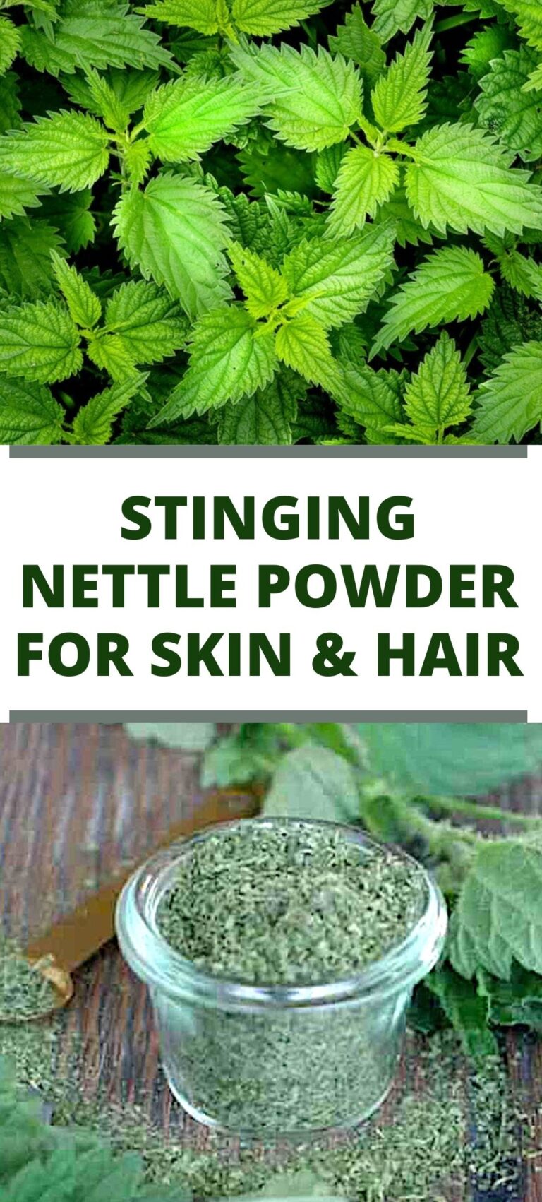 Superfood green nettle powder (and 10 ways to use it) SimplyBeyondHerbs