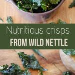 Wild nettle crisps