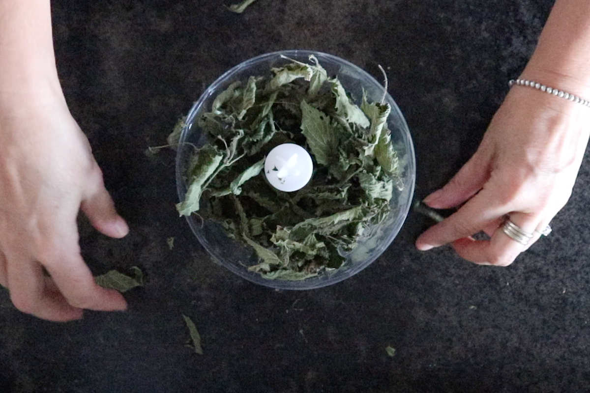 Superfood green nettle powder (and 10 ways to use it) SimplyBeyondHerbs