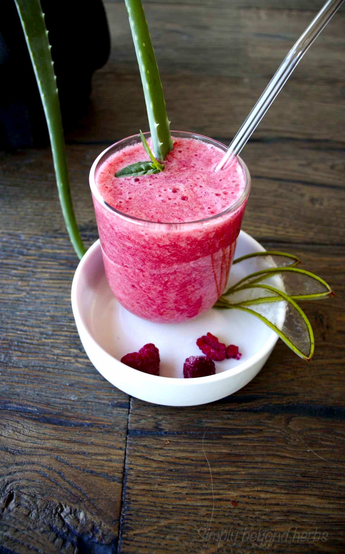 Aloe vera smoothie SimplyBeyondHerbs