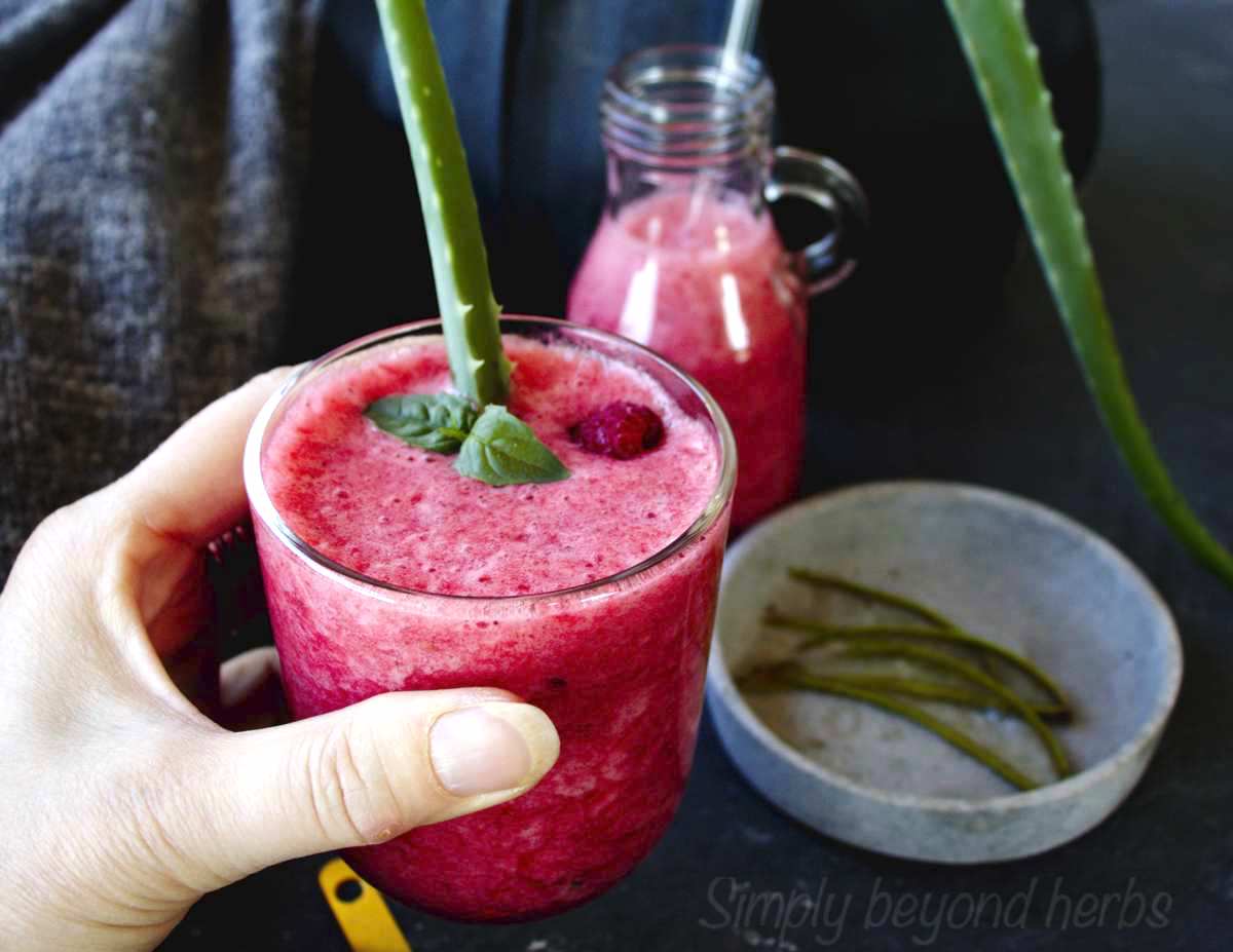 Aloe vera smoothie SimplyBeyondHerbs