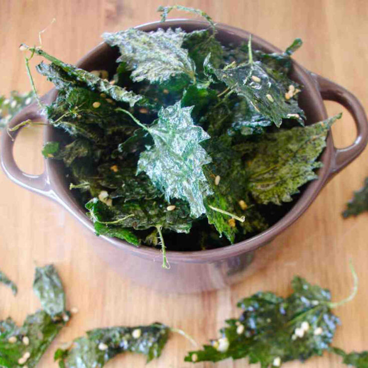 stinging nettle recipes