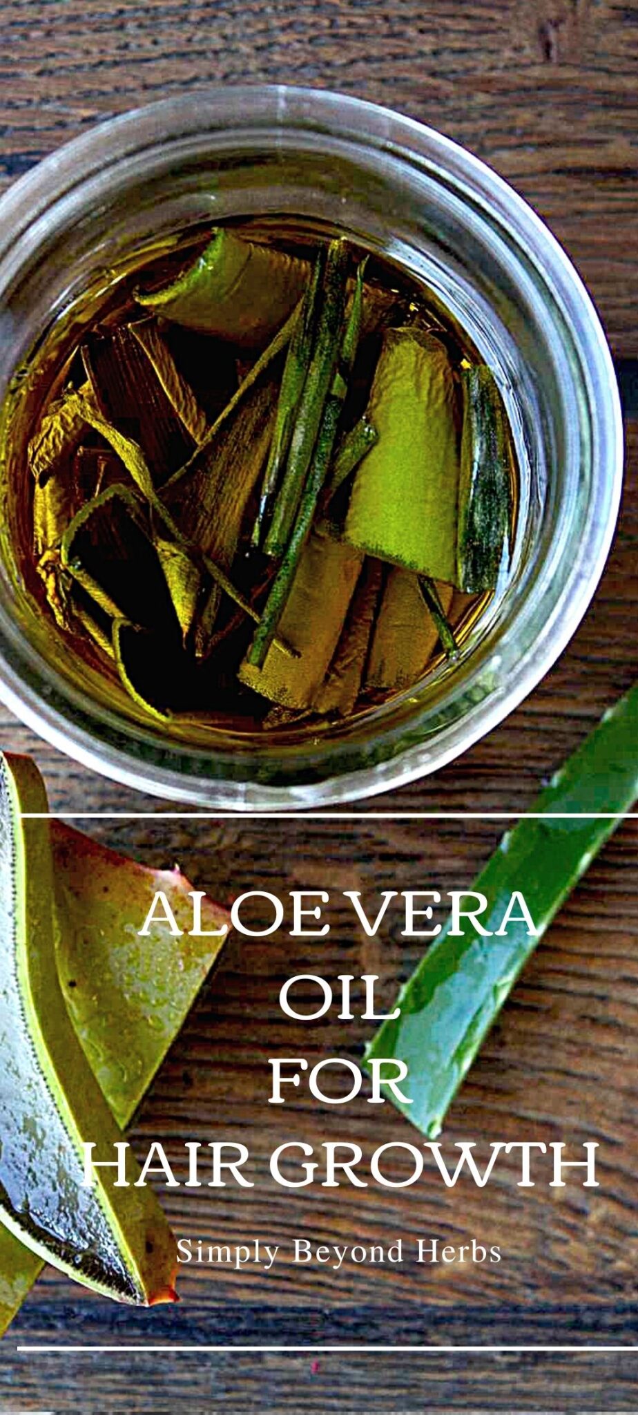 How to make Aloe vera oil (3 ways) SimplyBeyondHerbs