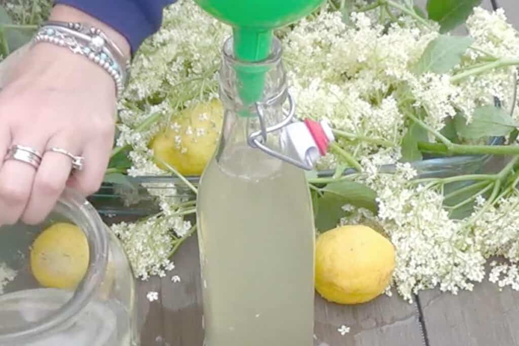 filing the bottles with homemade elderflower cordial