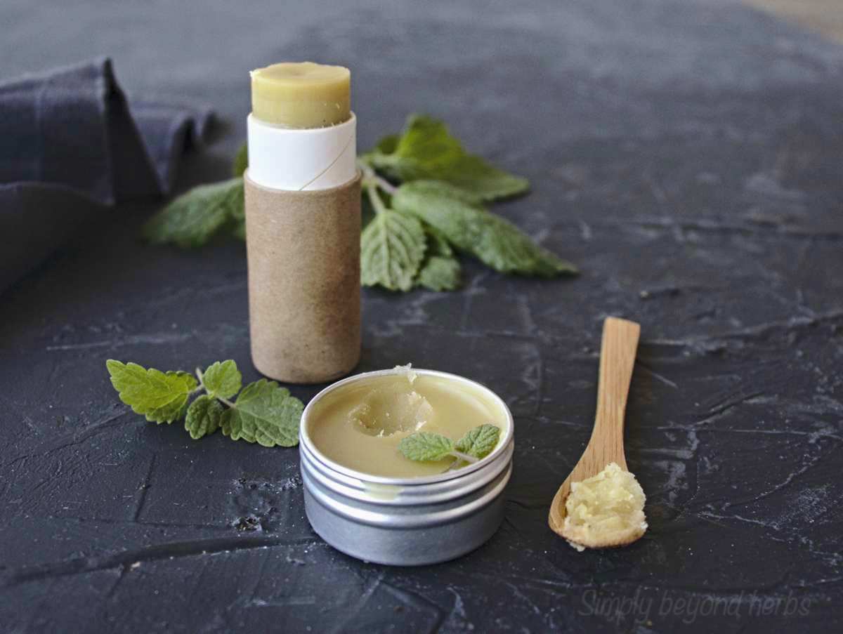 Lemon balm lip balm for cold sore relief SimplyBeyondHerbs