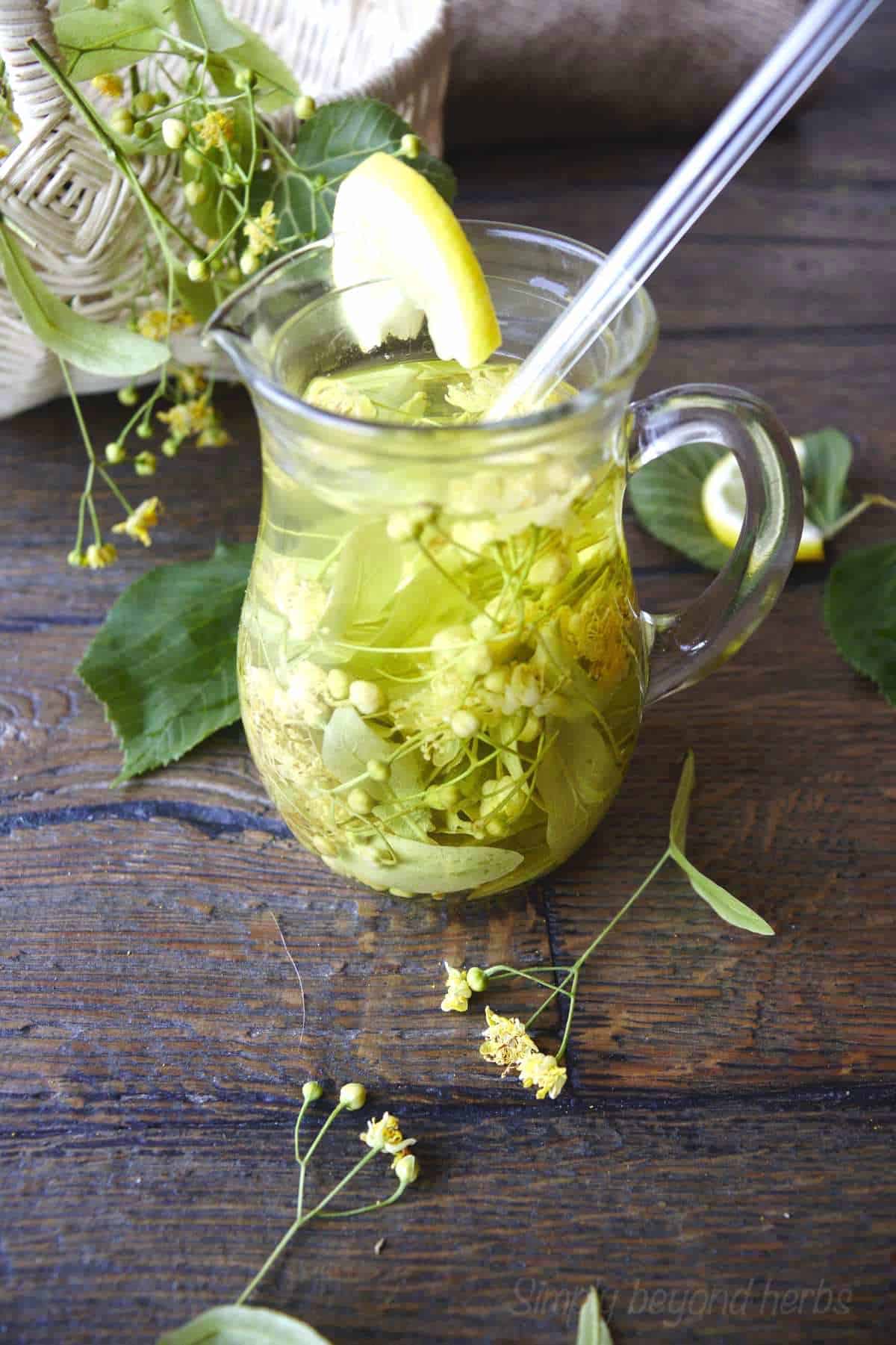 How to make linden tea SimplyBeyondHerbs