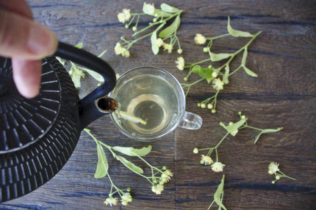 How to make linden tea SimplyBeyondHerbs