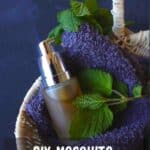 lemon balm repel mosquitoes