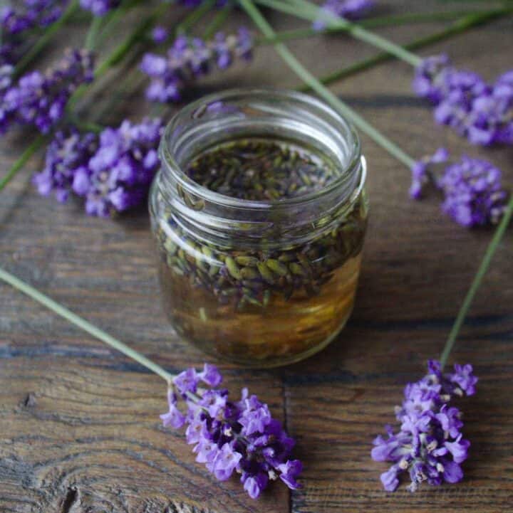 Make lavender extract for baking and other uses. SimplyBeyondHerbs