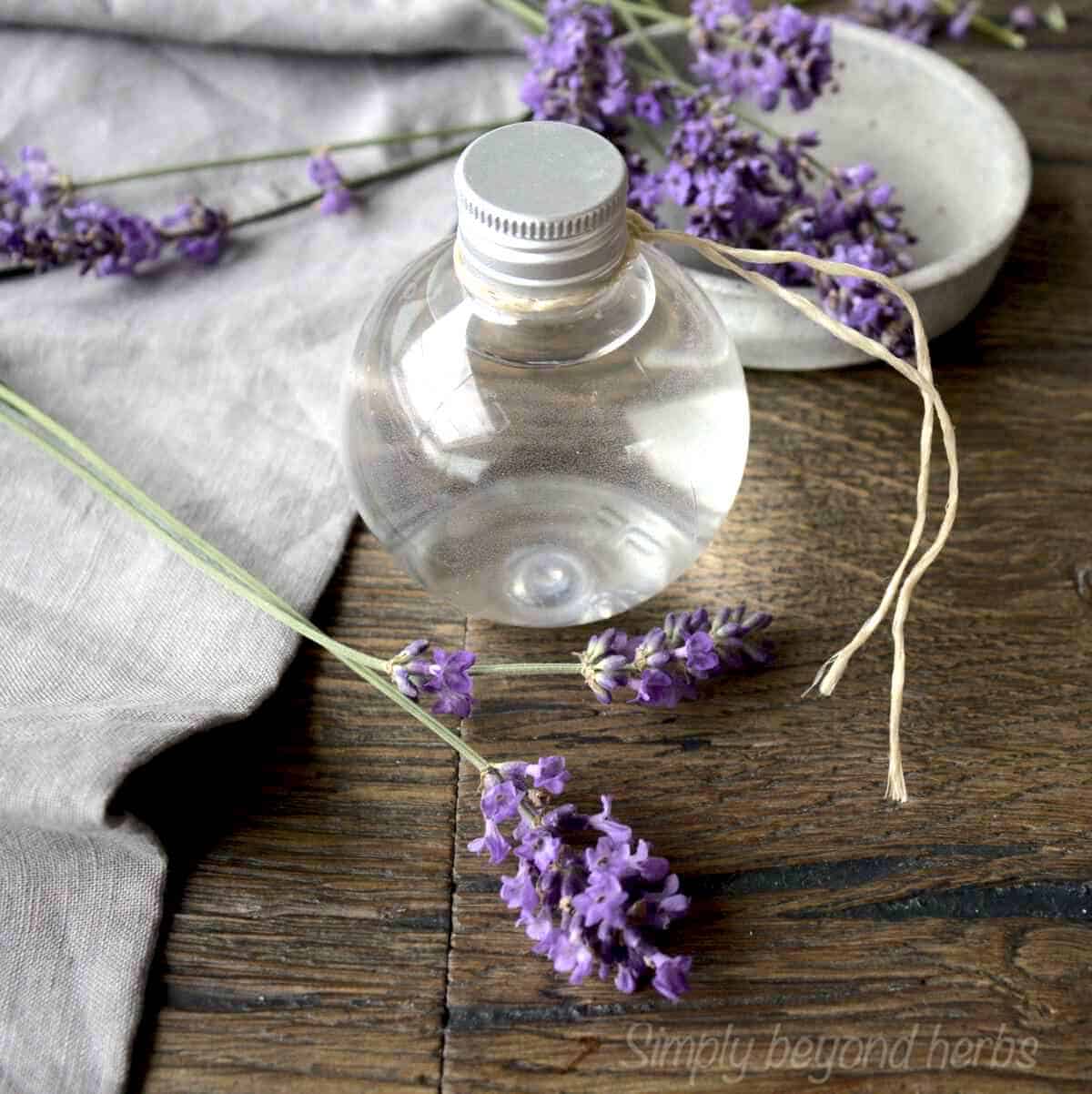 How to make Lavender water and 14 ways to use it SimplyBeyondHerbs