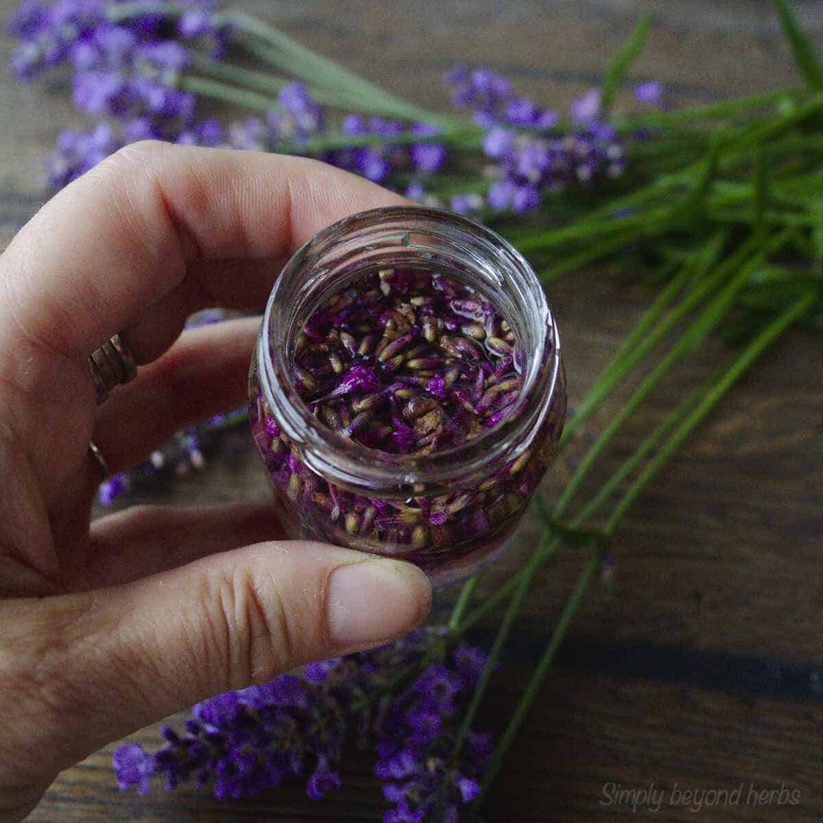 Lavender vinegar and 9 ways to use it SimplyBeyondHerbs