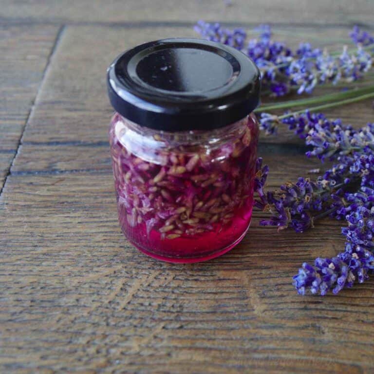 Lavender vinegar and 9 ways to use it SimplyBeyondHerbs