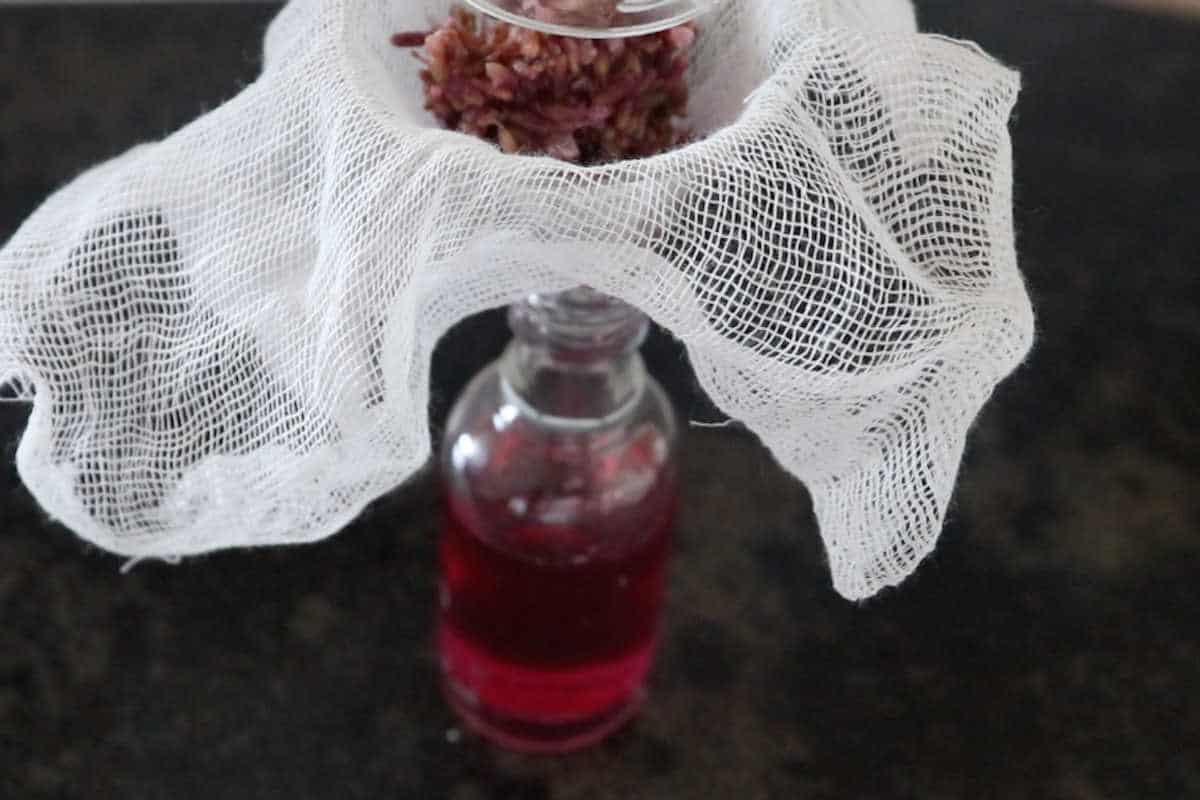 Lavender vinegar and 9 ways to use it SimplyBeyondHerbs