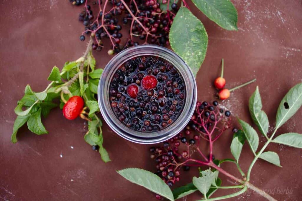 elderberry tincture