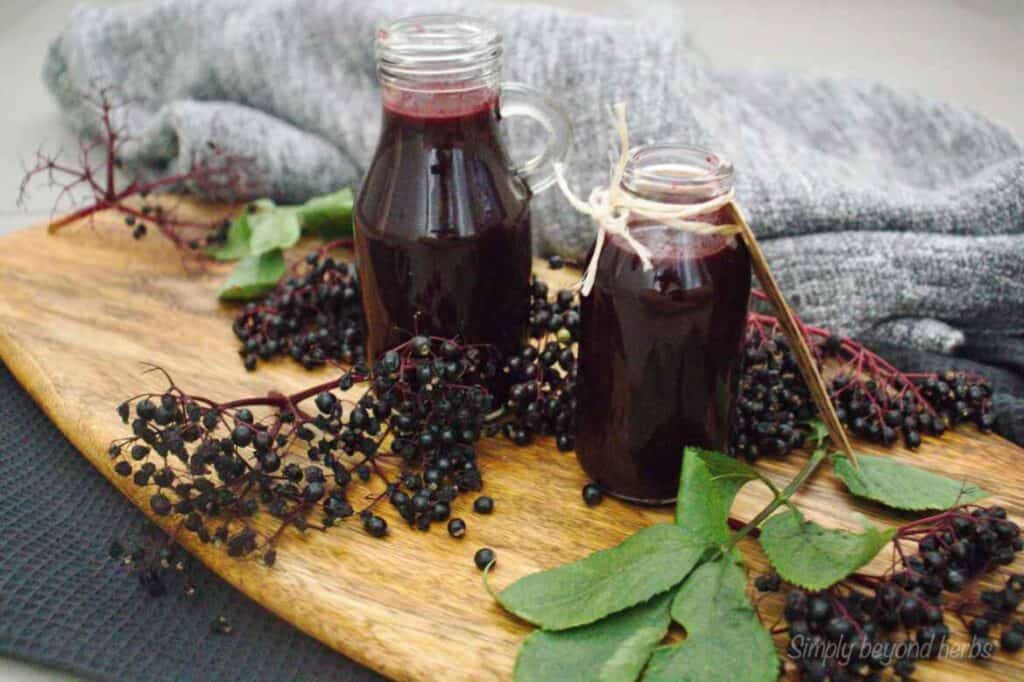 elderberry syrup