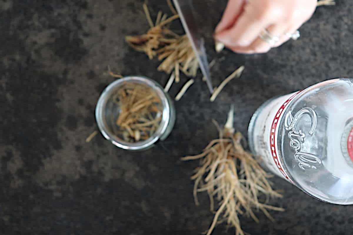 How to make Echinacea Tincture and its best uses SimplyBeyondHerbs