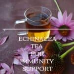 tea echinacea