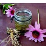 How to take echinacea tincture