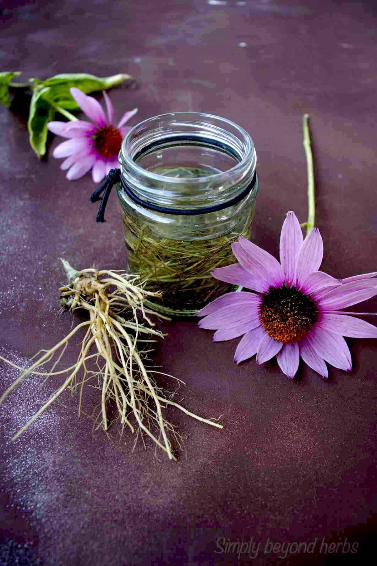 Unlock Nature'S Power: Free Pdf Of Tincture Uses & Recipes - sckx3ro