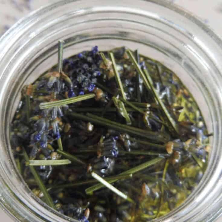 lavender infusion
