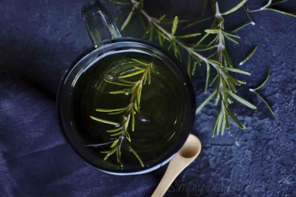 Fragrant Rosemary Tea Recipe - SimplyBeyondHerbs