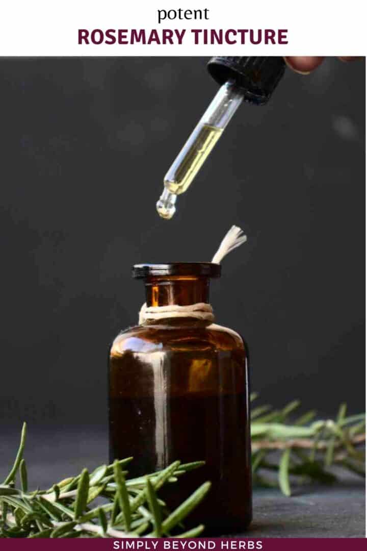 Rosemary tincture recipe SimplyBeyondHerbs