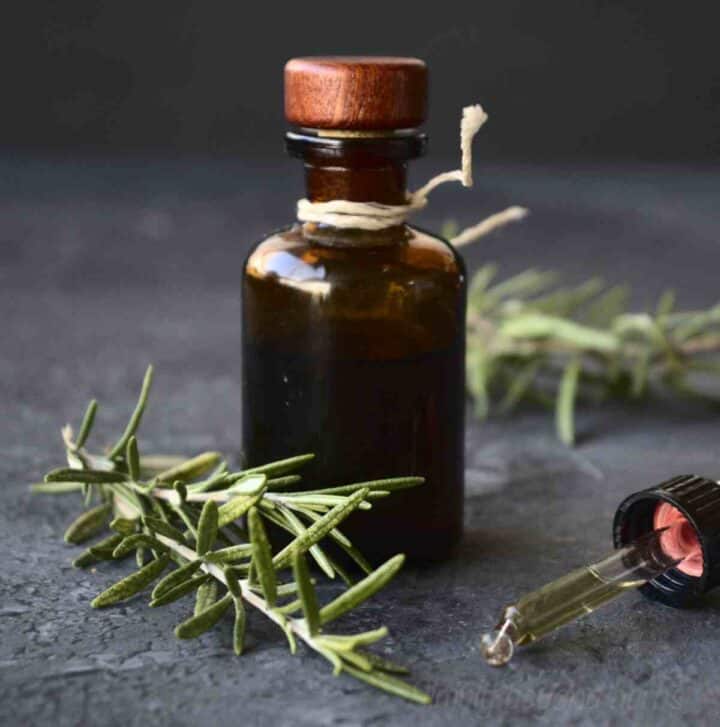 Potent Rosemary tincture recipe SimplyBeyondHerbs
