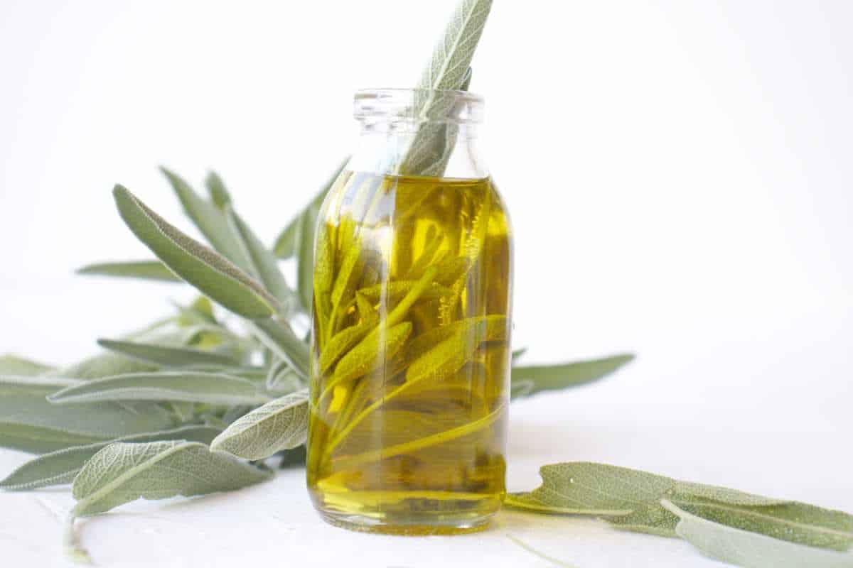 How to make sage oil SimplyBeyondHerbs