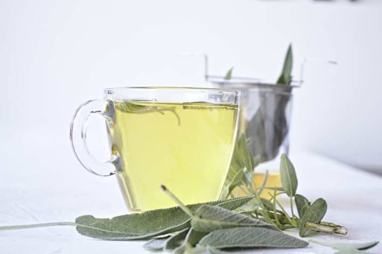How to Make Sage Tea SimplyBeyondHerbs