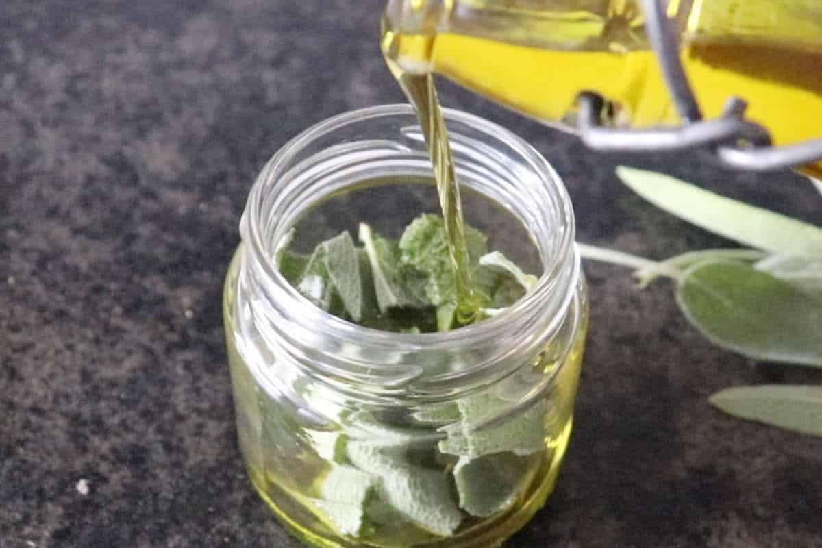 How to make sage oil SimplyBeyondHerbs
