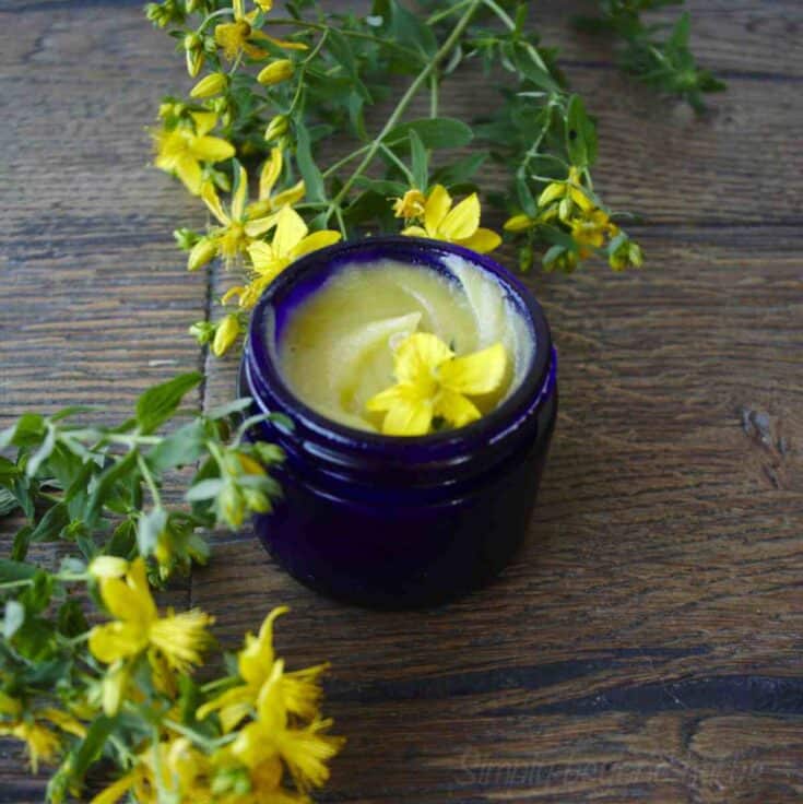 st john's wort salve