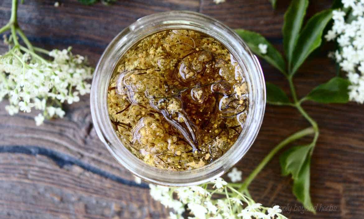 Powerful Elderflower infusion oil to soften your skin