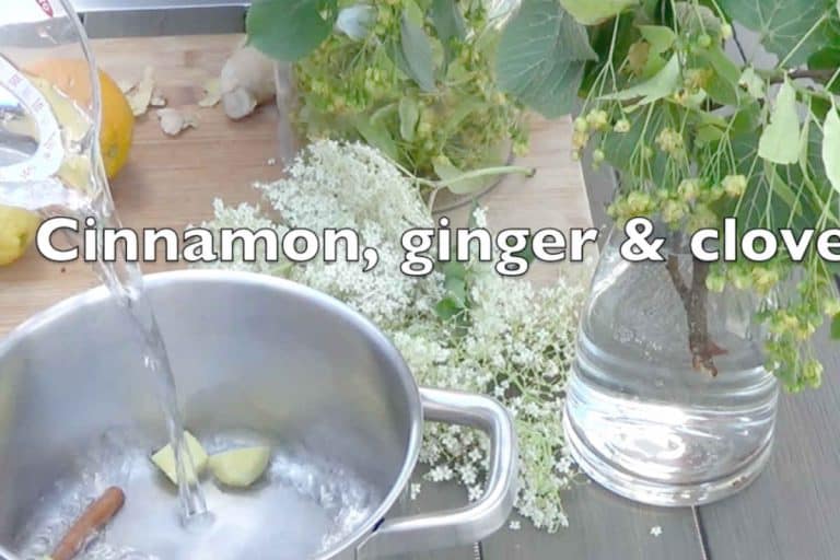 Old fashioned cough syrup recipe