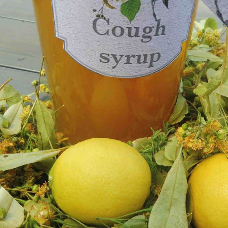 Old fashioned cough syrup recipe