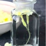 making flower essence moonlight
