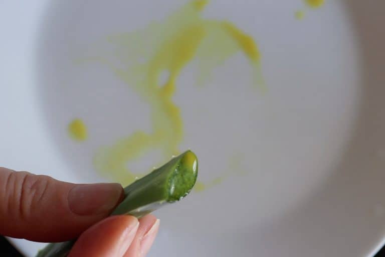 Homemade aloe vera mask SimplyBeyondHerbs