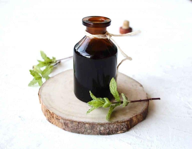 how to make a mint extract and 11 ways to use it SimplyBeyondHerbs