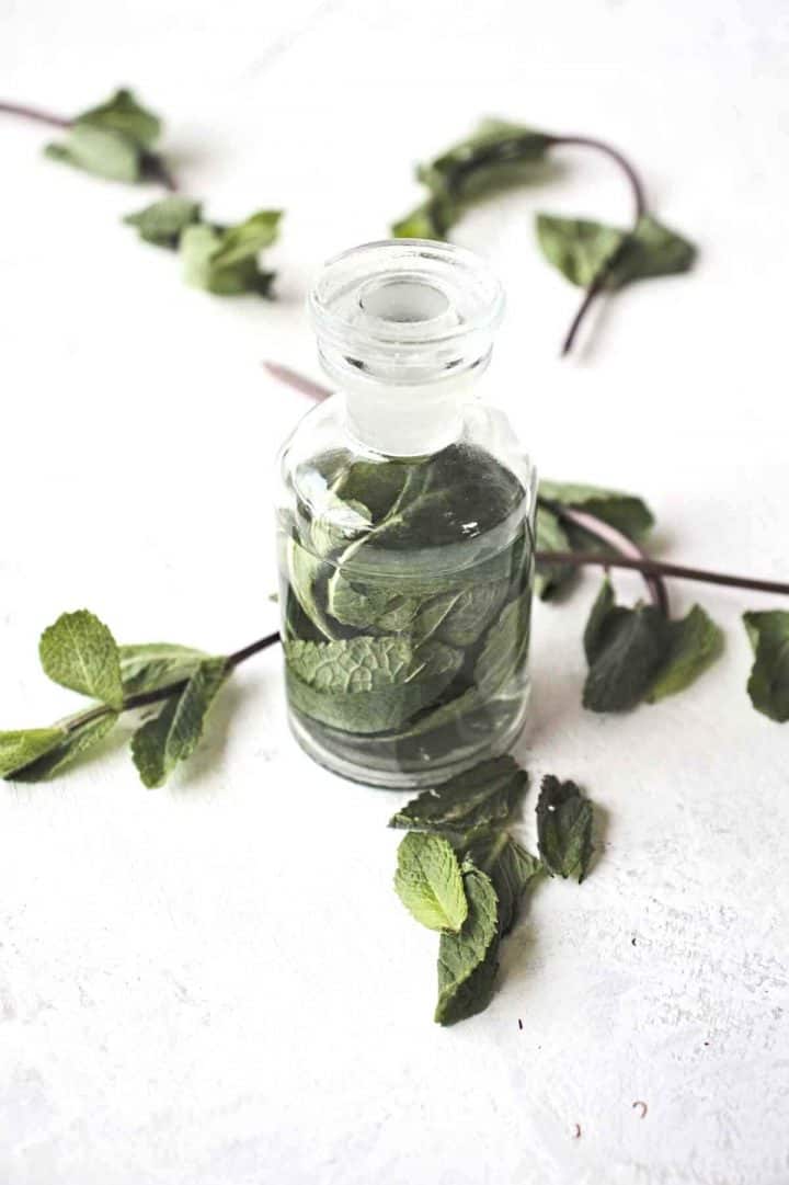 how to make a mint extract and 11 ways to use it SimplyBeyondHerbs