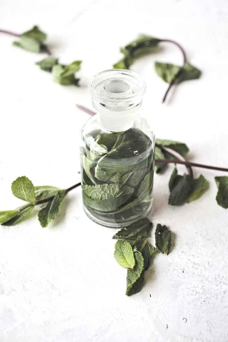 how to make a mint extract and 11 ways to use it SimplyBeyondHerbs