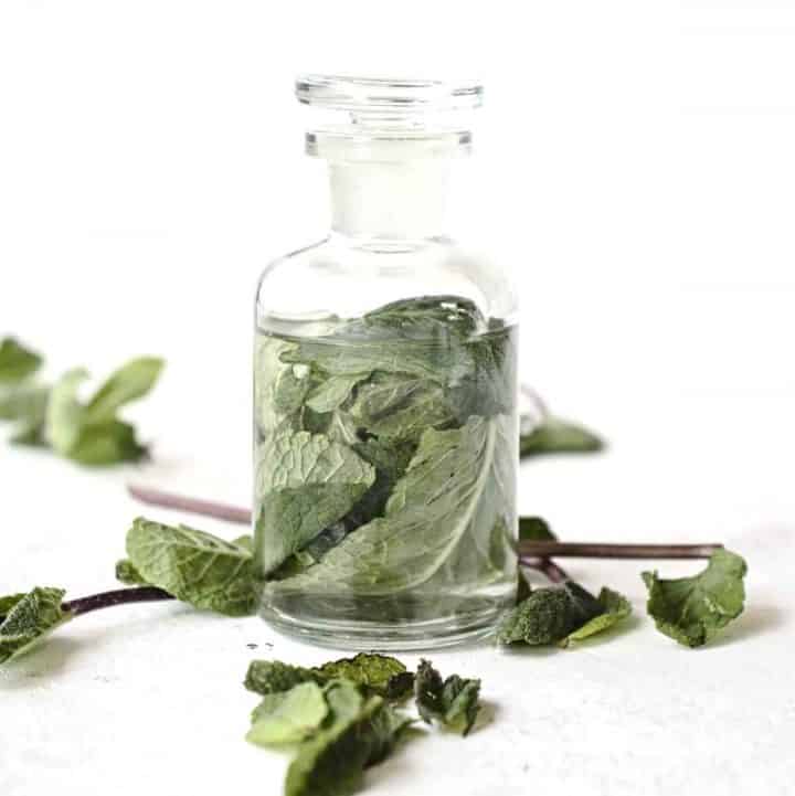 how to make a mint extract and 11 ways to use it SimplyBeyondHerbs