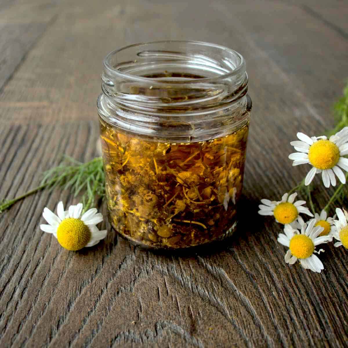 How to make chamomile oil SimplyBeyondHerbs